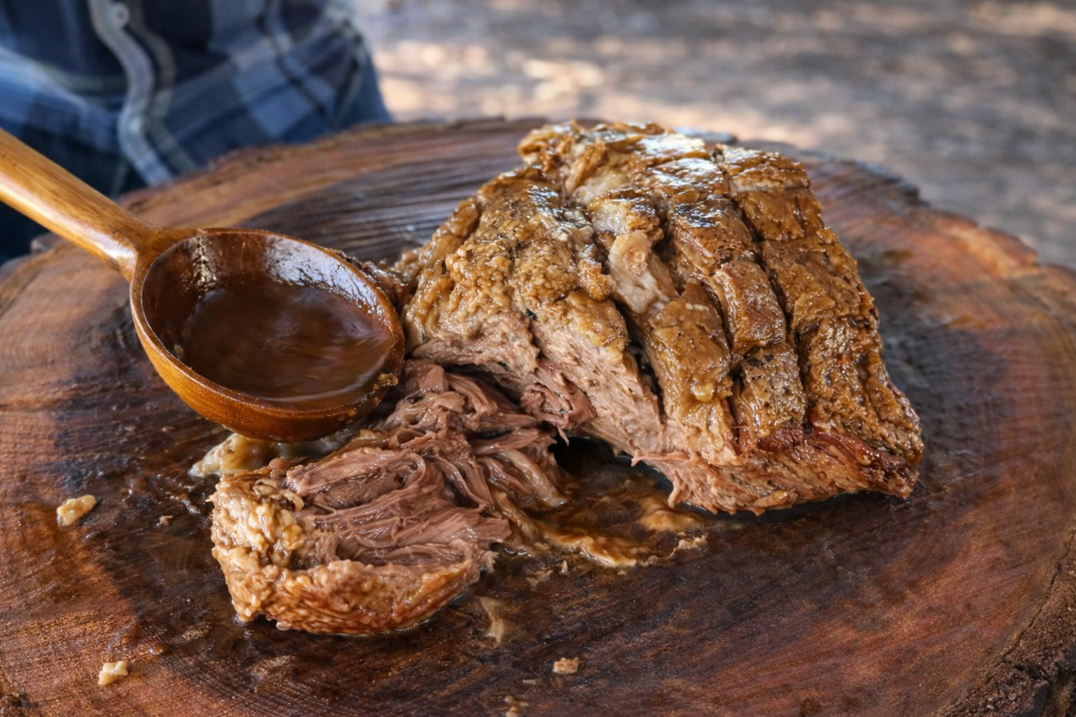BARBACOA DE PICAÑA